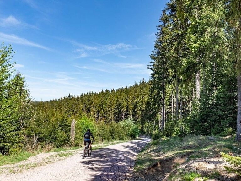 Mountainbike Thüringer Wald, Urlaub in Oberhof