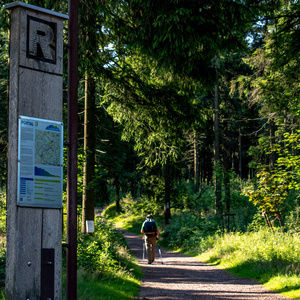 Hotel Oberhof, Wandertipps