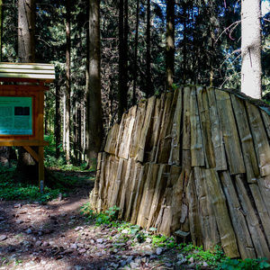 Hotel Oberhof Ausflugstipp: Naturlehrpfad