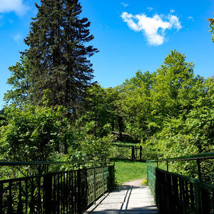 Hotel Oberhof Ausflugstipp: Naturlehrpfad