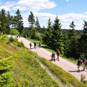 Hotel Oberhof, Wandertipps