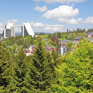Hotel Oberhof, Wandertipps