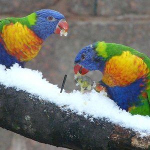 Hotel Oberhof Ausflugstipp: Tierpark Suhl