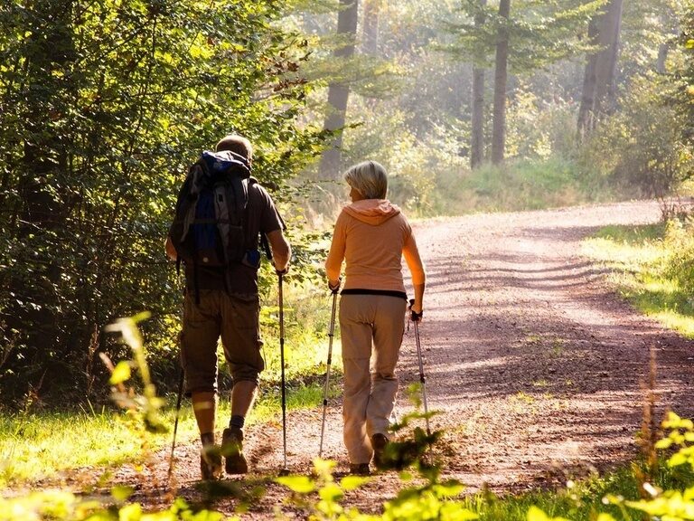 Nordic Walking in the Thuringian Forest, vacation in hotel in Oberhof