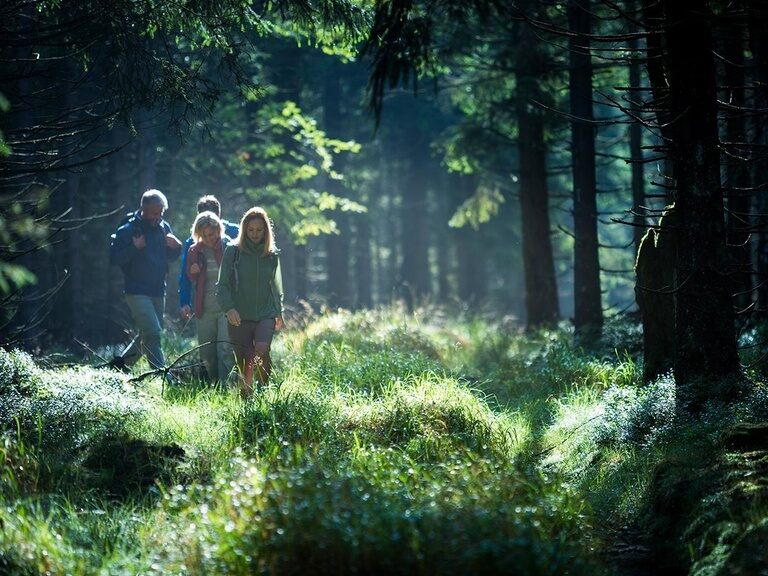 Hiking in the Thuringian Forest. Hiking vacation in hotel in Oberhof