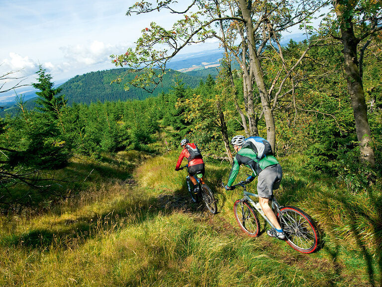Mountain bike in the Thuringian Forest, Tip Oberhof Hotel