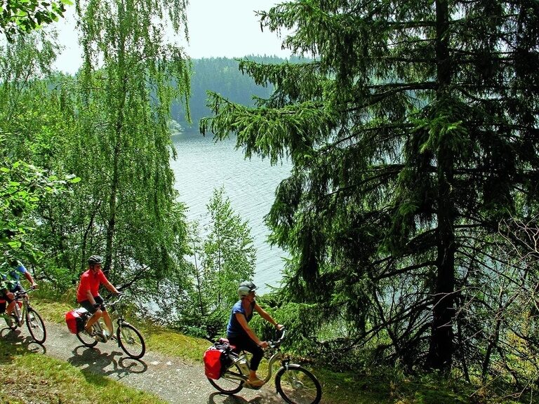 Mountain bike in the Thuringian Forest. Oberhof Hotel Tip