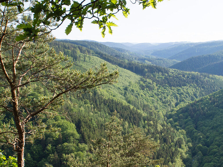 Vacation in Thuringia, view to Schwarzatal, tip Oberhof hotel