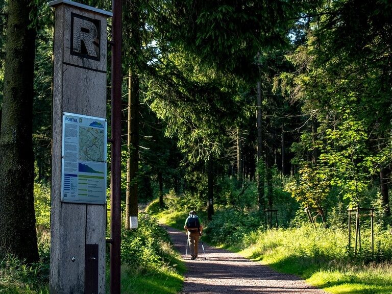 Rennsteig bei Oberhof Thüringer Wald, Rondell - Wandertipp Hotel Oberhof