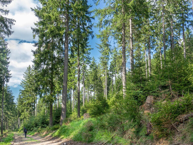 Oberhof, Historische Sportstättenwanderung. Hotel Tipp