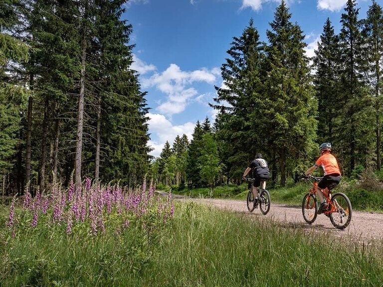 Aktivurlaub im Thüringer Wald