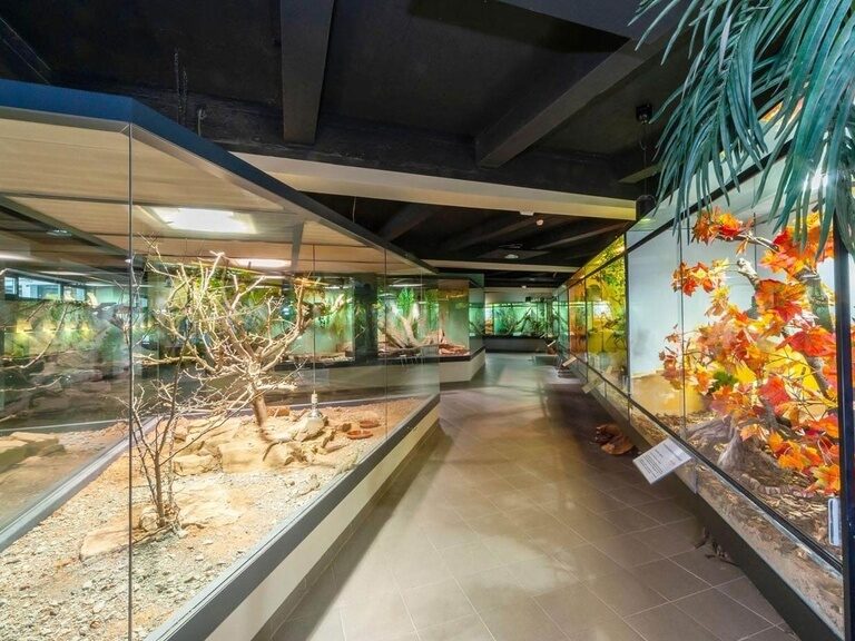 Blick auf die Terrarien des Aqua-Terra-Zoos.