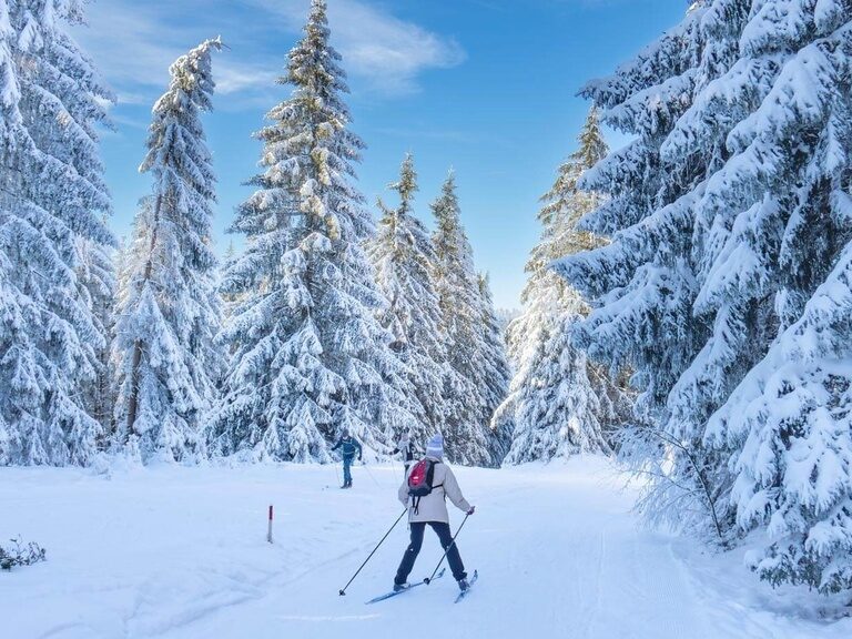 Drei Skilangläufer auf dem schneebedeckten Rennsteig nahe Oberhof.