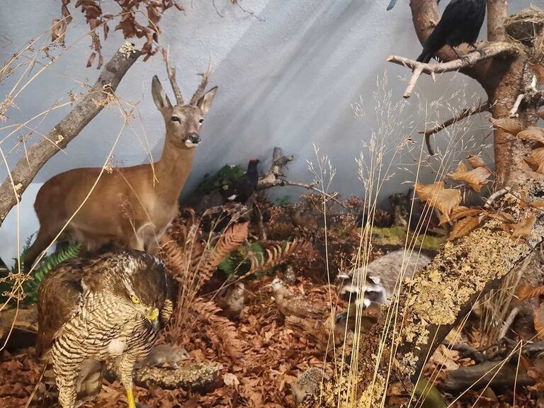 Biosphären Ausstellung, Tipp Hotel Oberhof