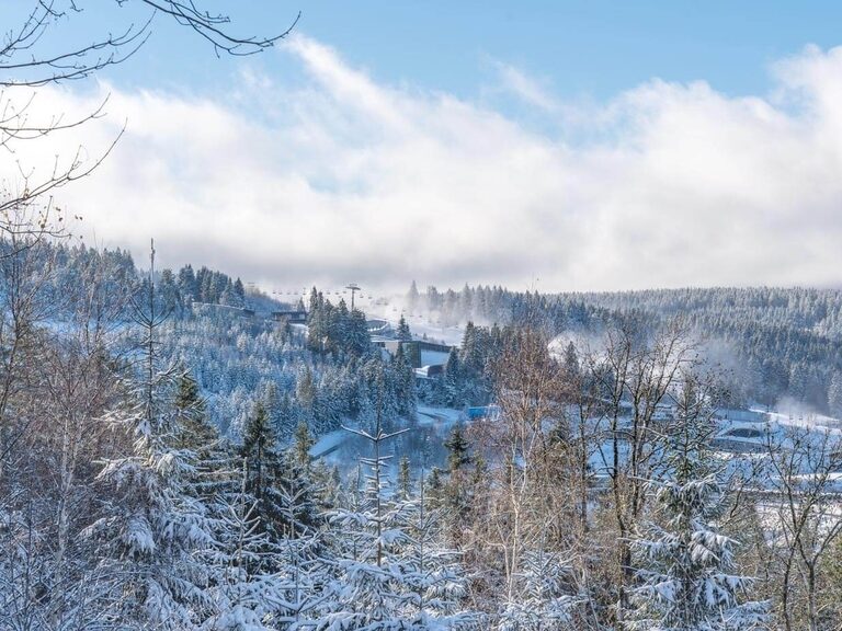 Vom Wadeberg aus schaut man hinüber zur winterlichen Eisarena und dem Snowpark Oberhof.