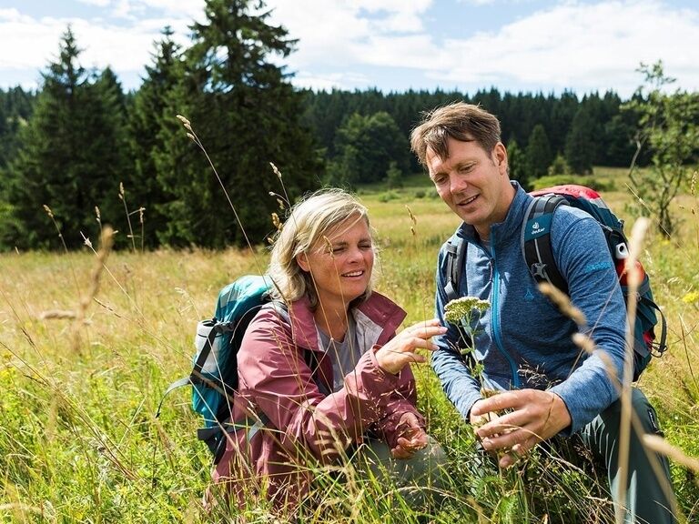 Couple vacation, hike mountain meadow, hotel Oberhof tip