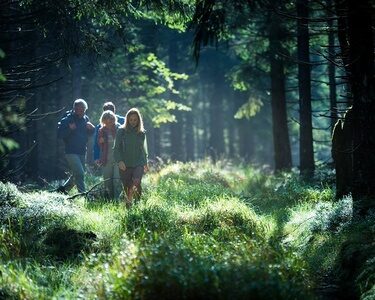 Wandern im Thüringer Wald. Wanderurlaub im Hotel in Oberhof