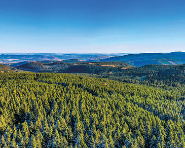 Hotel Oberhof, Blick über den Thüringer Wald