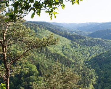 Vacation in Thuringia, view to Schwarzatal, tip Oberhof hotel