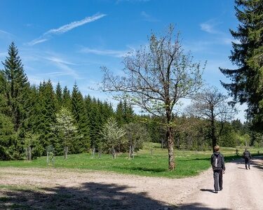 Wanderung zum Waldschwimmbad Oberhof, Tipp Hotel Oberhof