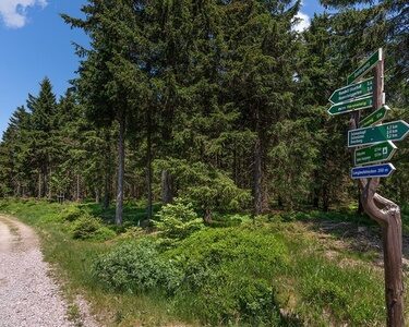 Thüringer Wandertage, Hotel Oberhof Angebot