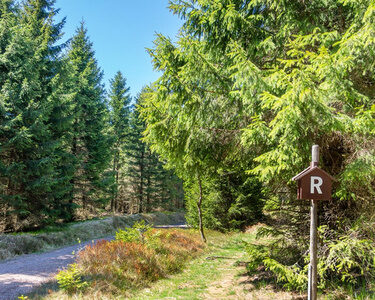 Wanderurlaub am Rennsteig. Tipp Wanderhotel Oberhof