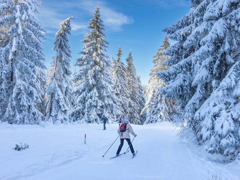 Cross-country skiers meet at a junction near the Rennsteig trail near Oberhof in the snow-covered forest.
