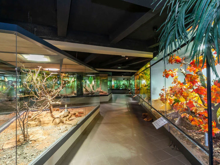 Exotarium Oberhof, Ausflugstipp Hotel in Oberhof