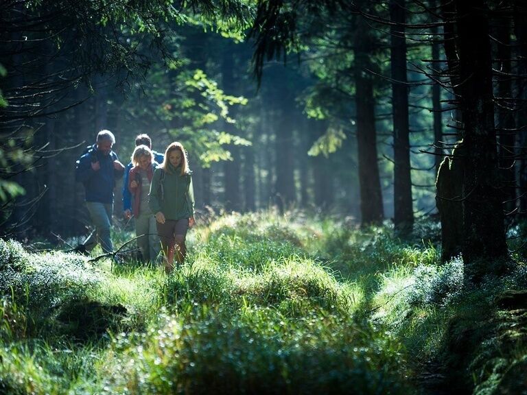 Hiking in the Thuringian Forest. Hiking vacation in hotel in Oberhof