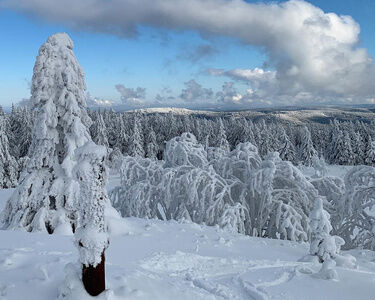 Hotel Oberhof, Winterurlaub Ausflug nach Erfurt