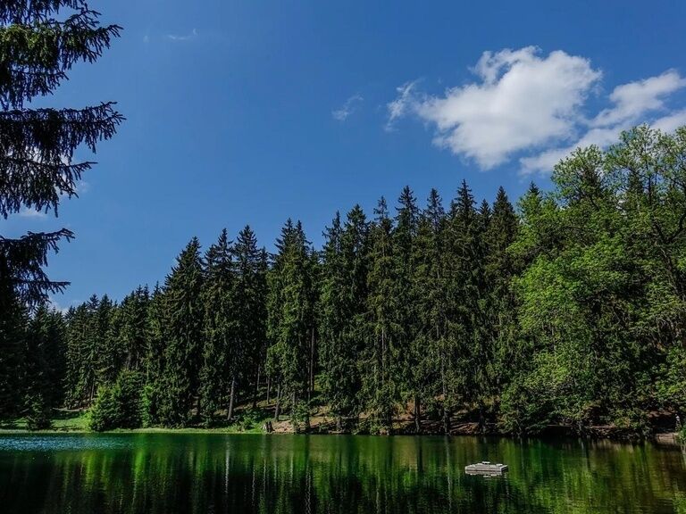 Lütschetalsperre near Oberhof, hiking vacation in the Thuringian Forest