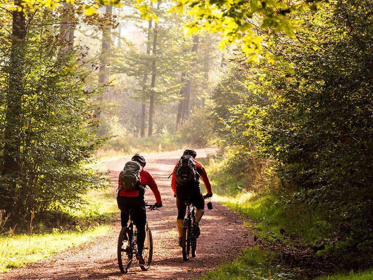 Mountainbiker im Thüringer Wald, Urlaub im Hotel in Oberhof
