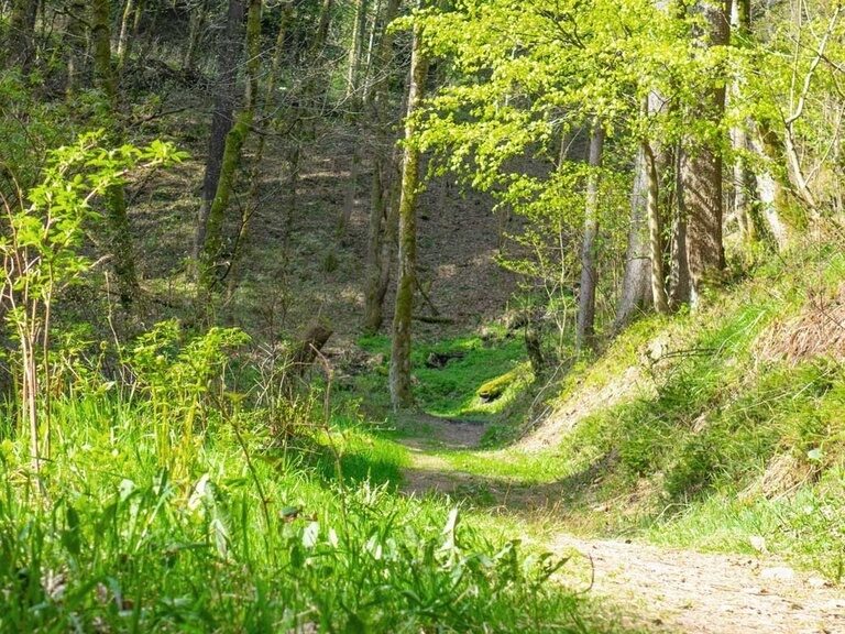Naturerlebnispfad Oberhof, Wandertipp Hotel Oberhof