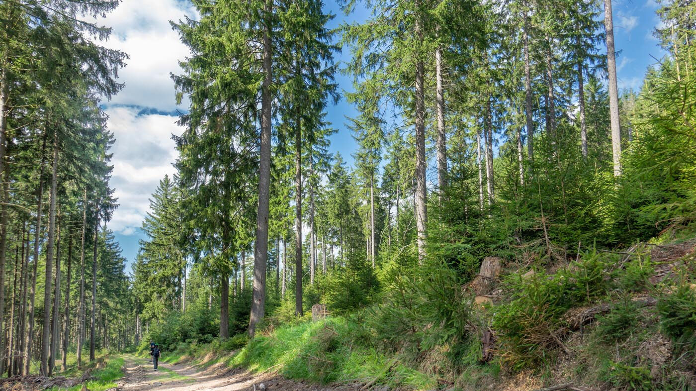 Historischer Sportstätten Wanderweg