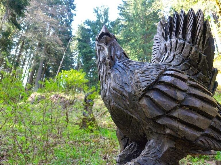 Oberhof, Naturerlebnispfad. Hotel Tipp