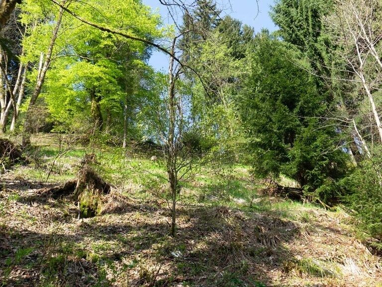 Oberhof, Naturerlebnispfad. Hotel Tipp