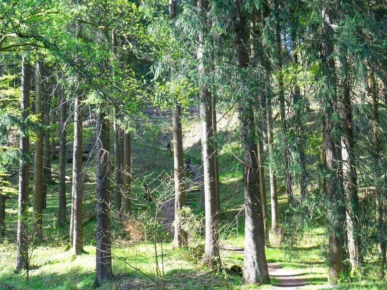 Oberhof, Naturerlebnispfad. Hotel Tipp