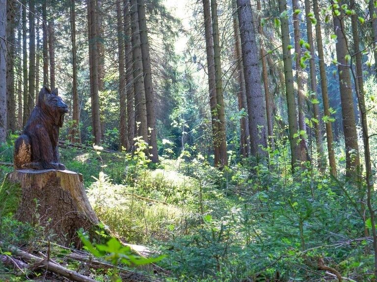 Oberhof, Naturerlebnispfad. Hotel Tipp