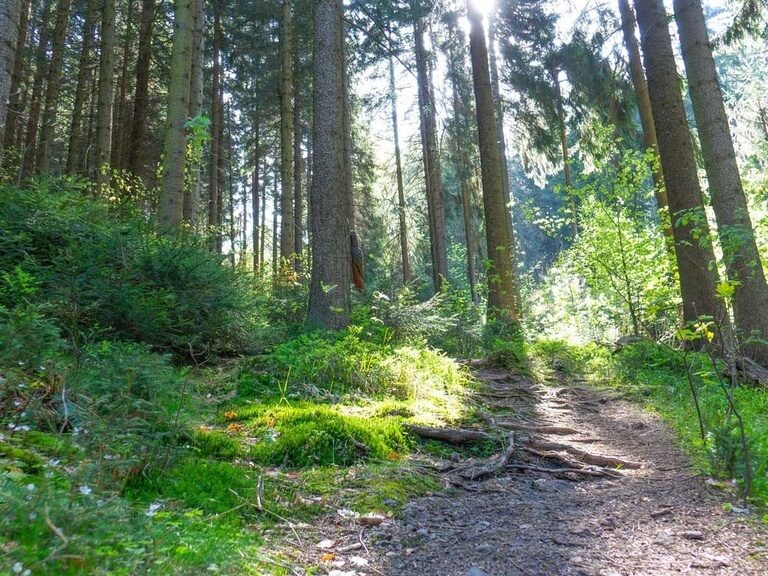 Oberhof, Naturerlebnispfad. Hotel Tipp