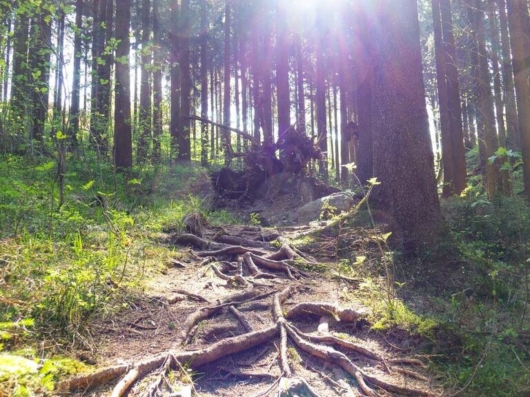 Oberhof, Naturerlebnispfad. Hotel Tipp