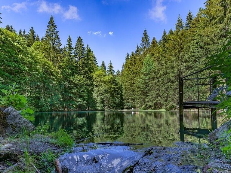 Pfanntalsteich bei Oberhof, Wanderurlaub im Thüringer Wald