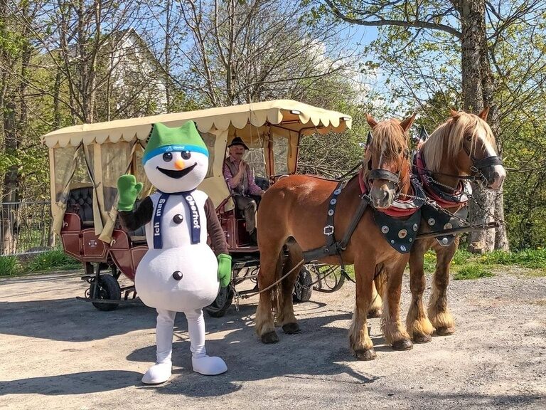 Planwagenfahrten in Oberhof, Hotel Oberhof Tipp