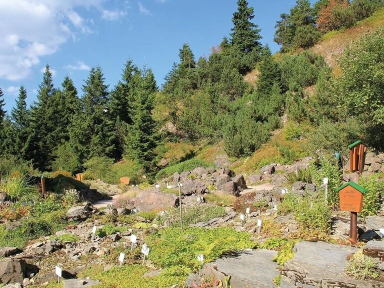 Rennsteig garden, excursion tip Hotel Oberhof