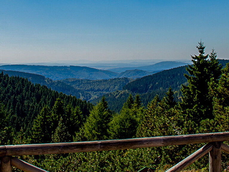 Rennsteig Garden Oberhof, excursion tip Hotel Oberhof