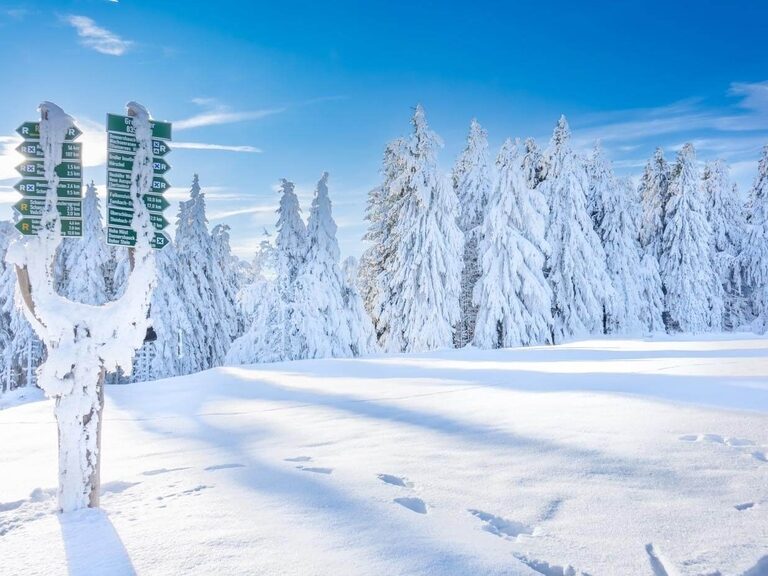 Schneebedeckte Landschaft am Rennsteig, dem berühmten Wanderweg, nahe des Grenzadlers bei Oberhof.