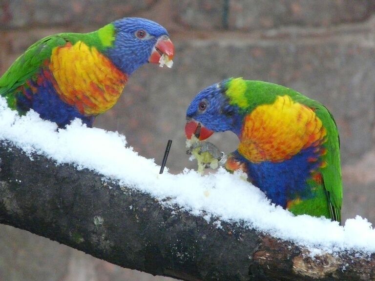 Tierpark Suhl, Ausflugstipp Hotel Oberhof