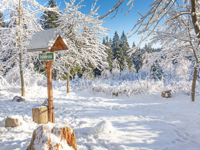 Wanderung bei Oberhof, Rastplatz Großvaterstuhl