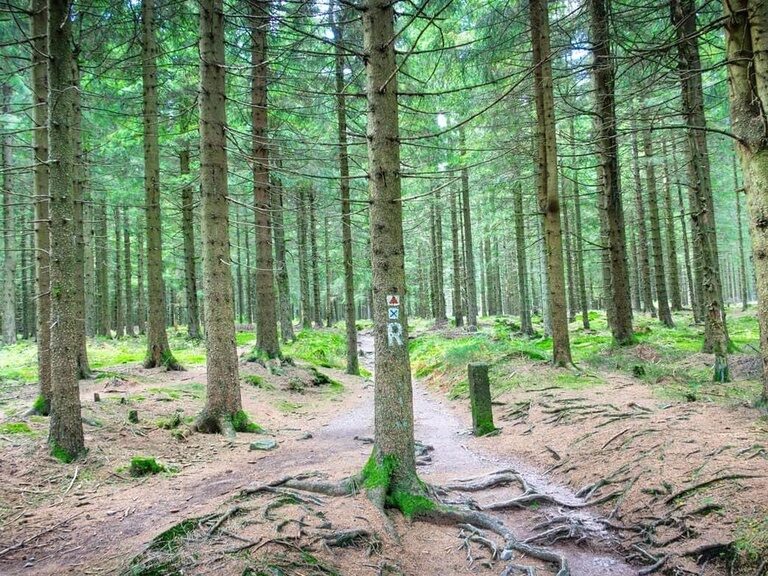 Wanderung von Oberhof zum Beerberg, Hotel Tipp