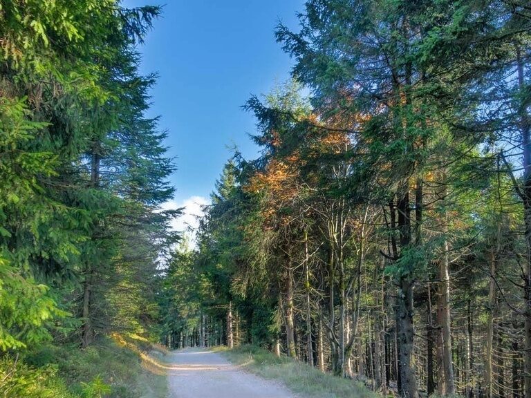 Wanderung von Oberhof zum Beerberg, Hotel Tipp