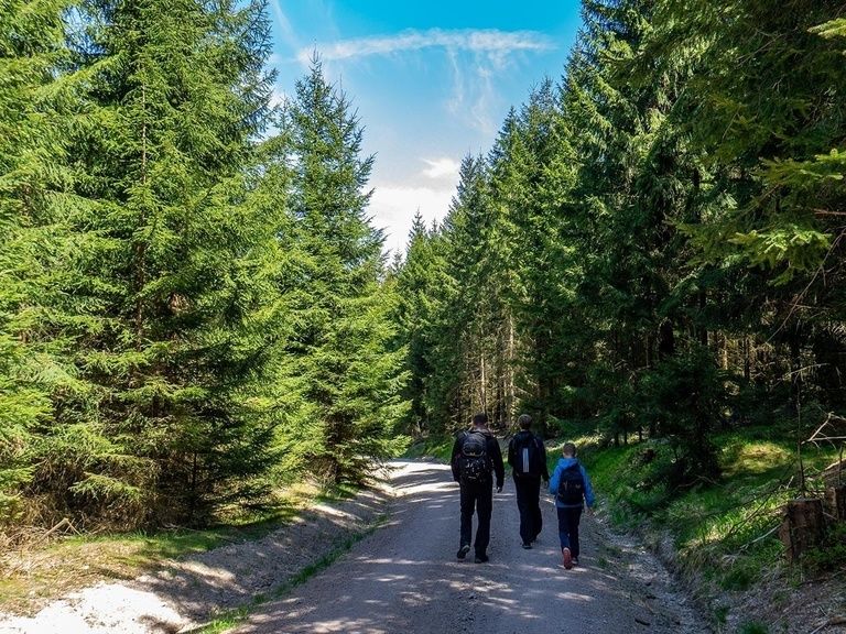 Wanderung zum Lütschestausee bei Oberhof Hotel Tipp